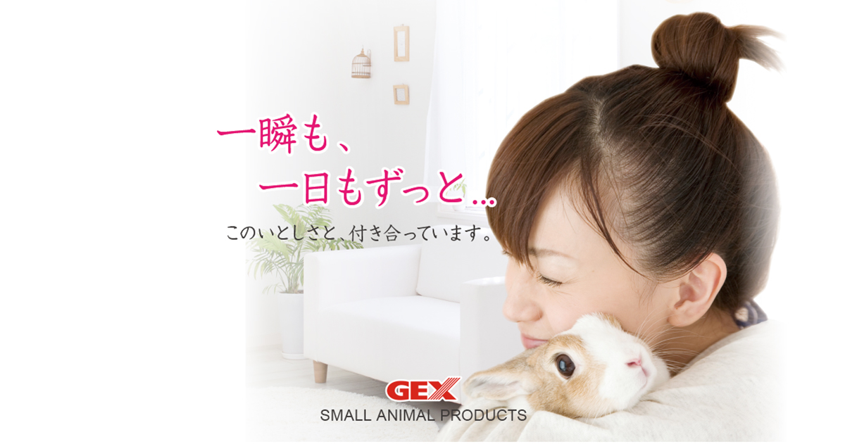 うさぎ ミニレッキス：Small Animal Life｜うさぎ・ハムスターなど