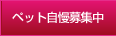 �y�b�g������W��