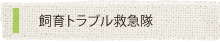 ����g���u���~�}��