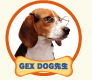 DOG�搶�̃����|�C���g�A�h�o�C�X