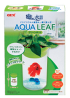 Aqua Leaf Green