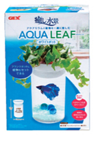 Aqua Leaf White