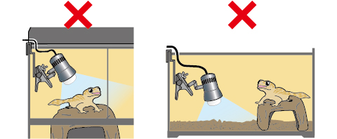 爬虫類用ランプは生体やディスプレイ、床材、プラスチックケージから離して設置してください