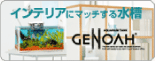 GENOAH