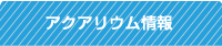 �A�N�A���E�����