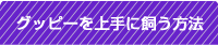 �O�b�s�[�����Ɏ������@
