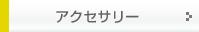 �A�N�Z�T���[