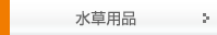 �����p�i
