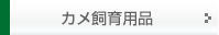 �J������p�i