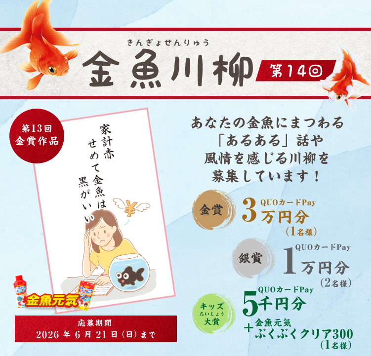 第14回 あなたの金魚にまつわる「あるある」話や風情を感じる川柳を募集しています!