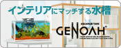�C���e���A�Ƀ}�b�`���鐅���@�W�F�m�A�V���[�Y