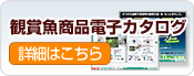 �Ϗ܋��p�i�d�q�J�^���O