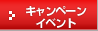 �L�����y�[���@�C�x���g
