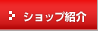�V���b�v�Љ�
