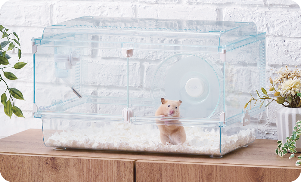 ハムスター用ケージ スターターケージ　ガラスなので中がよく見えるグラスハーモニー