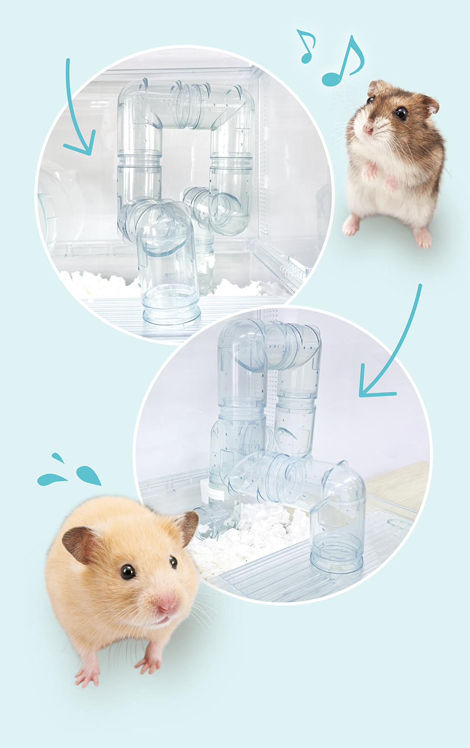 ケージとハムスターの画像