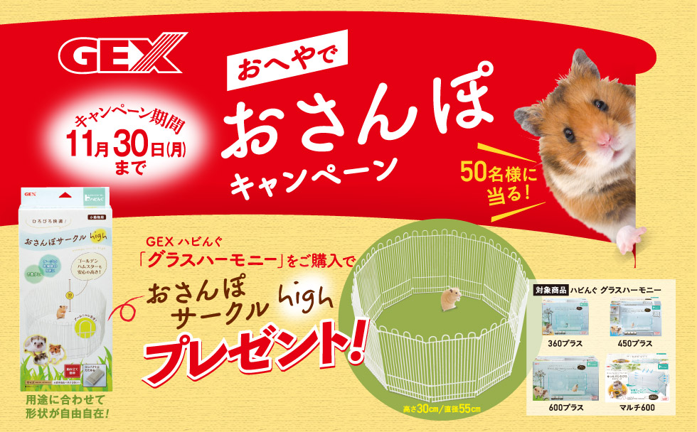 おへやでおさんぽキャンペーン