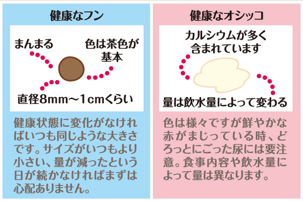 おしっこ 茶色