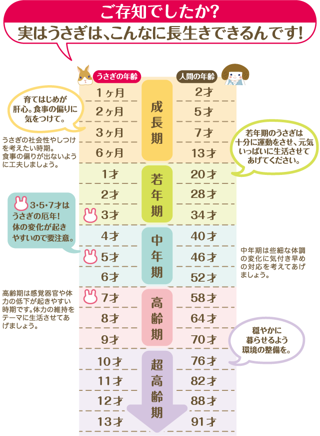 年齢の進み方