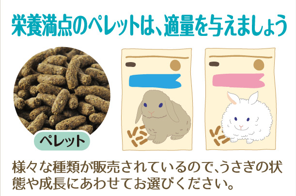 栄養満点のペレットは、適量を与えましょう