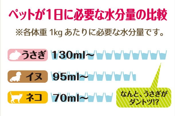 うさぎの食性と栄養 うさぎ ハムスター 小動物の飼育用品 ジェックス株式会社