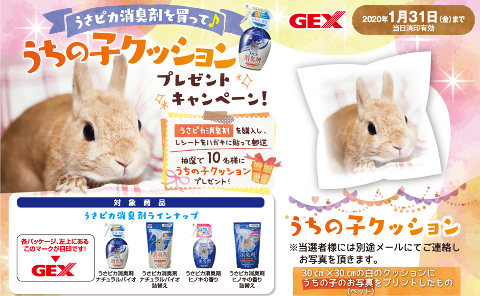 うさピカ消臭剤を買って♪うちの子クッションプレゼントキャンペーン
