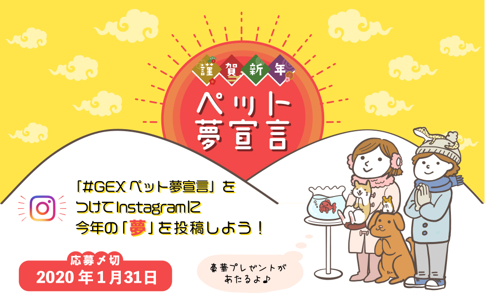 2020年お正月キャンペーン！「GEXペット夢宣言」