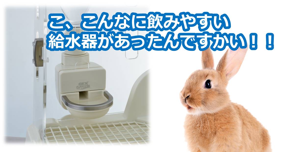 うさぎが飲みやすい給水器 ドリンクボウルラビット