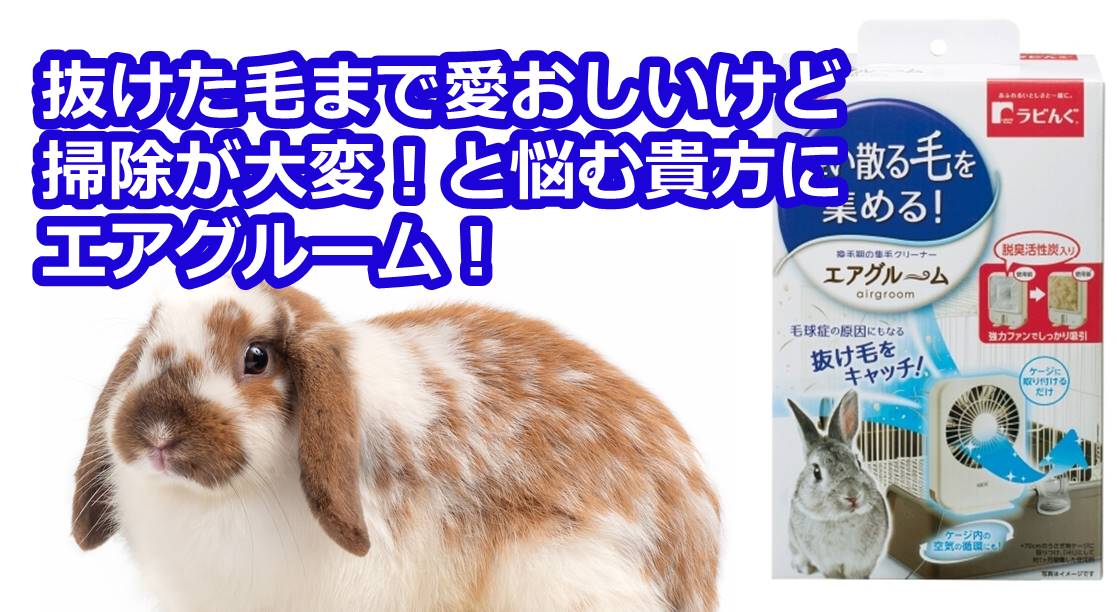 うさぎの健康チェック うさぎ ハムスター 小動物の飼育用品 ジェックス株式会社