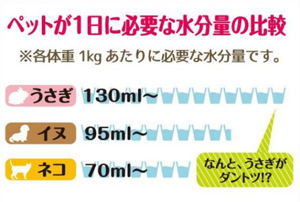 うさぎが飲みやすい給水器 ドリンクボウルラビット