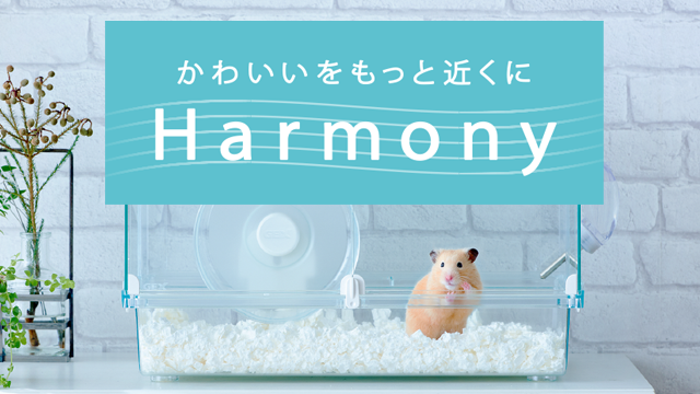 かわいいをもっと近くに　Harmony