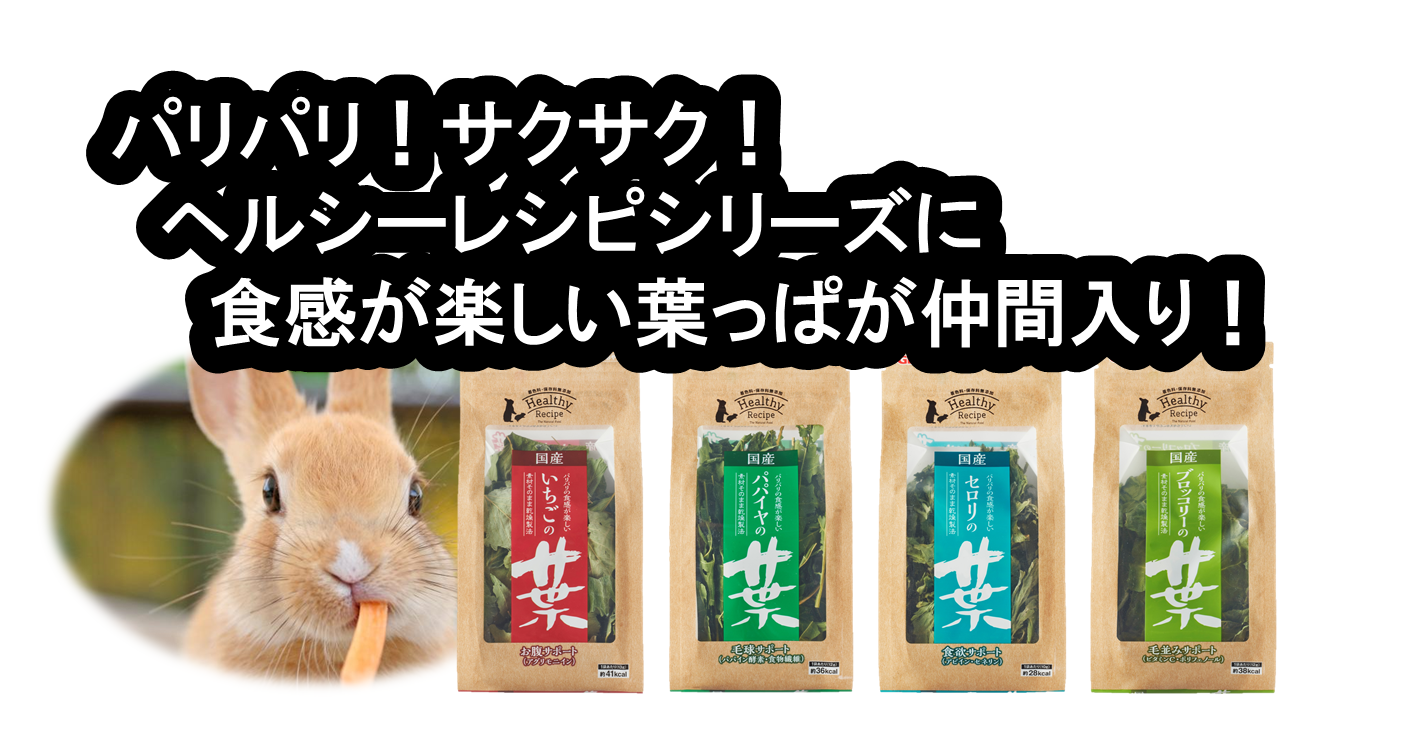 うさぎの健康チェック うさぎ ハムスター 小動物の飼育用品 ジェックス株式会社