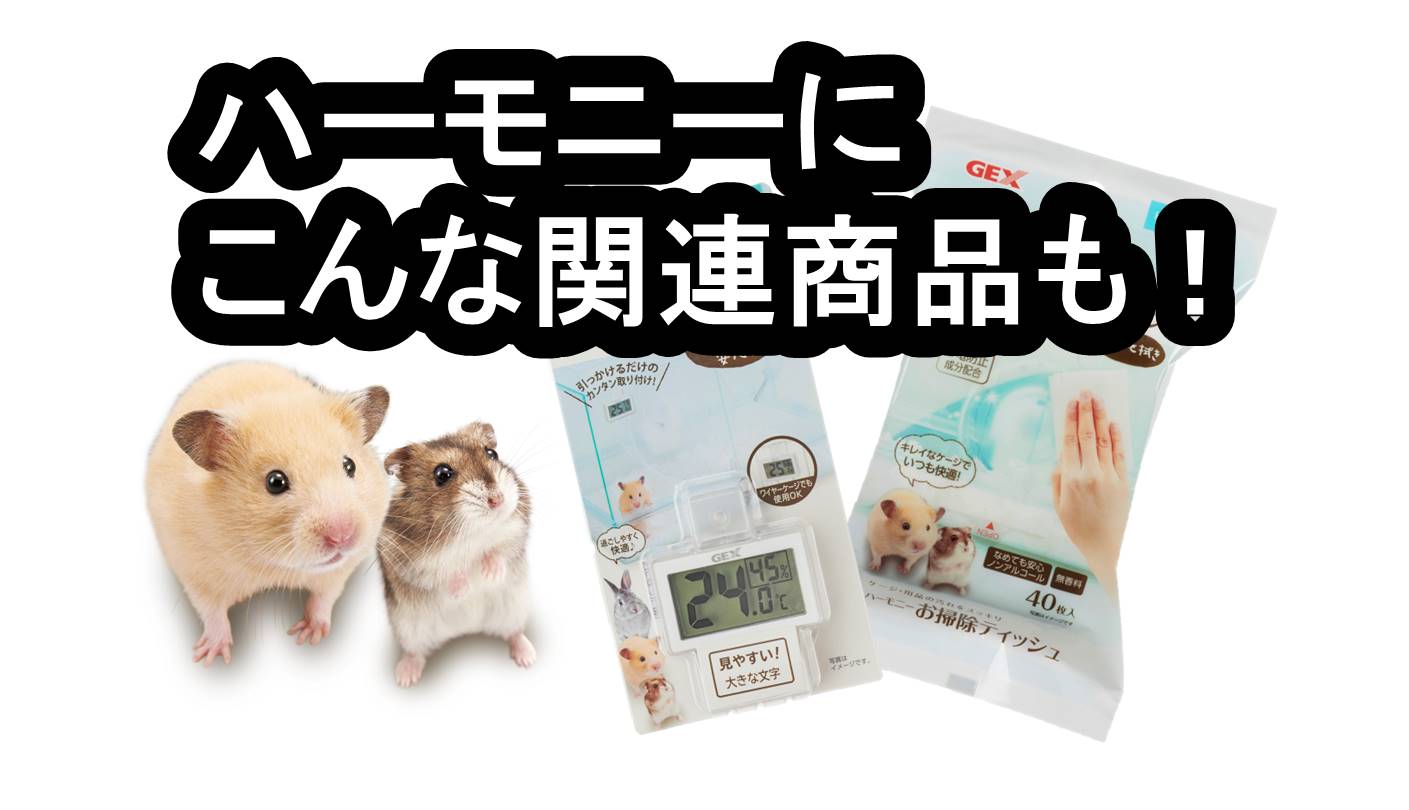 今年の新商品 GEX Small Animal Time うさぎ ハムスター 小動物の飼育用品 ジェックス株式会社