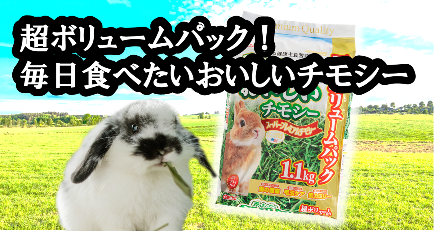 うさぎの健康チェック うさぎ ハムスター 小動物の飼育用品 ジェックス株式会社