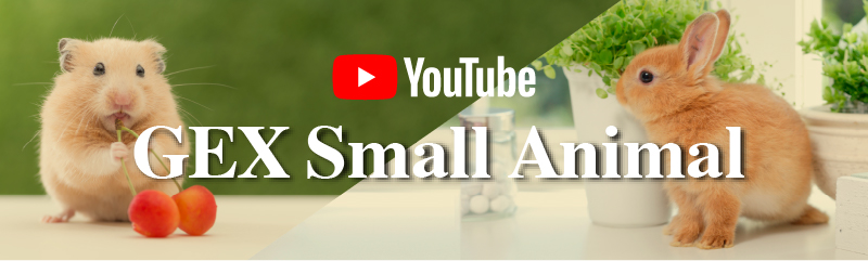 YOUTUBEチャンネル GEX Small Animal