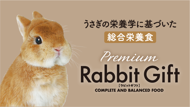 Rabbit Gift