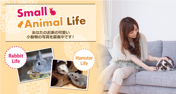 Small Animal Life あなたのお家の可愛い小動物の写真を募集中です！