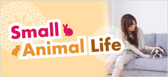 Small Animal Life