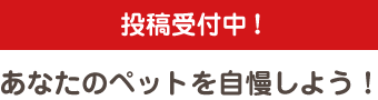 投稿受付中！あなたのペットを自慢しよう！