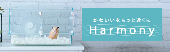 かわいいをもっと近くに　Harmony