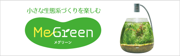 水草育成の癒しをもっと身近に。自然を学び、知り、楽しむ MeGreen