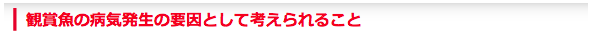 観賞魚の病気発生の要因として考えられること