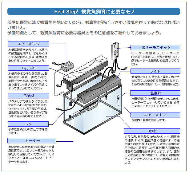 First Step！観賞魚飼育に必要なモノ