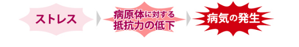ストレス→病原体に対する抵抗力の低下→病気の発生