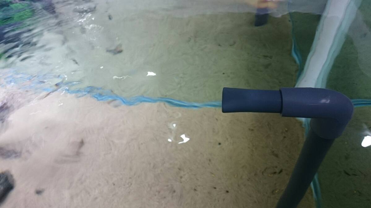 18020円 珍しい 水槽 水族館 LED照明水槽 デスクトップ水槽 酸素化 ろ過 循環システム 自然の生態学的ろ過を模倣 24L