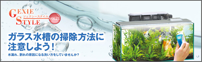 ガラス水槽の掃除方法に注意しよう！　水漏れ、割れの原因になる洗い方をしていませんか？