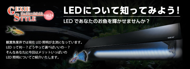 LEDについて知ってみよう！LEDであなたのお魚を輝かせてみませんか？観賞魚業界では現在LED照明が主流になっています。LEDって何…？どうやって選べばいいの…？そんなあなたに今回はメリットいっぱいのLED照明についてご紹介いたします。