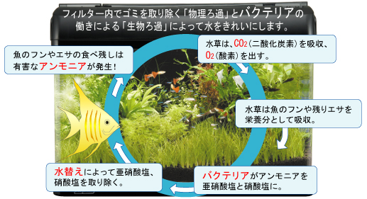 やってみよう アクアリウムの水管理 考えてみよう 水のこと