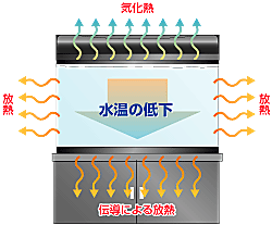 水温が下がる原因の1つは、水面から水分が蒸発し水槽の水から気化熱が奪われているから