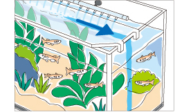 水槽からの水漏れと間違いやすい伝い漏れについて知ろう